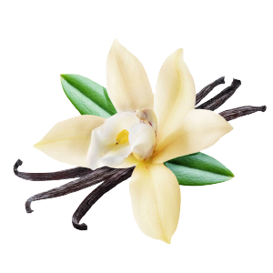 Vanilla